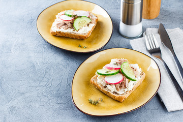 Delicious tuna sandwich, served with radish and cucumber