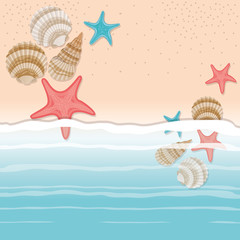 Obraz na płótnie Canvas sea shell and star in the sand design