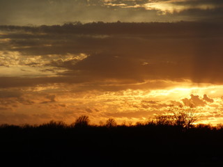 sunset