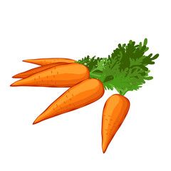 Vegetable carrot juicy with greens. Illustration.	 - 271631901