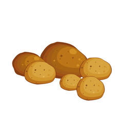 Potato. Vegetables from the garden. Illustration. - 271632126