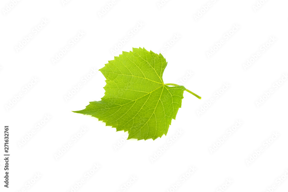 Wall mural green grape leaf isolated on white background