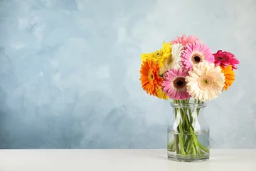 Fototapeten Bouquet von schönen hellen Gerberablumen in Glasvase auf dem Tisch vor farbigem Hintergrund. Platz für Text © New Africa