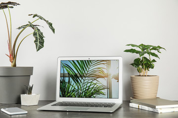 Laptop on table and houseplants in office interior, space for text