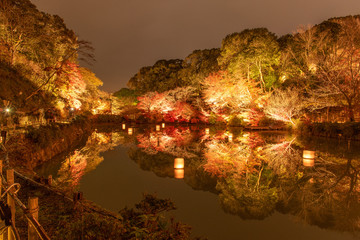 御船山楽園の紅葉ライトアップ