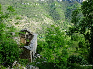 entre Tarn et Jonte autour du Rozier -  Peyreleau