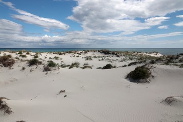Dune di Capo Comino