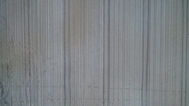 Frische Aussaat auf einem Feld f&uuml;r Maisernte