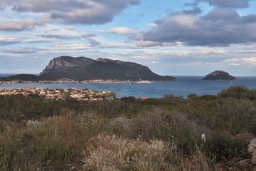 Fototapeta na wymiar Isola di Tavolara