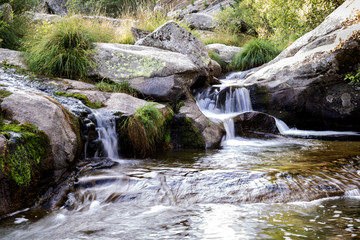 small rapid waterfalls created by a river when passing between stones