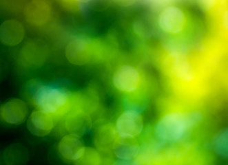Fototapeta na wymiar Summer abstract bokeh background in green-yellow colors. Blurred background of green leaves on nature.