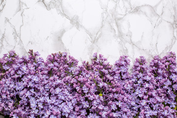 Lilac flowers on marble background with copyspace for text.Summer color and holiday concept.