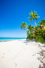 Obraz na płótnie Canvas Tropical Island, Fiji Islands
