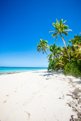 Fototapeta premium Tropical Island, Fiji Islands