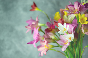 Fototapeta na wymiar Bouquet Zephyranthes grandiflora beautiful in the vase