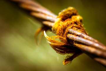 Hemp and braided steel cable