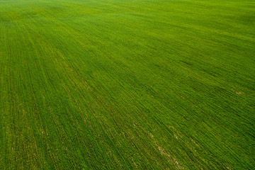 Obraz premium Aerial view of arable fields and plantation. Countryside.