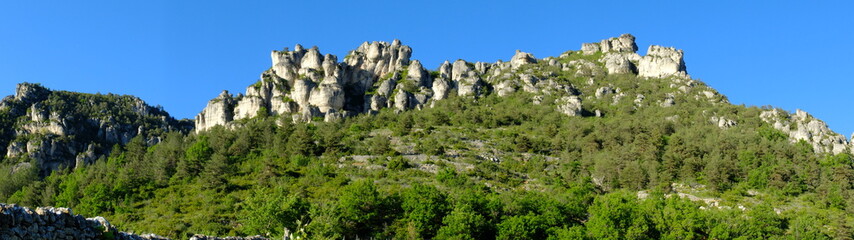 Fototapeta na wymiar entre Tarn et Jonte autour du Rozier - Peyreleau