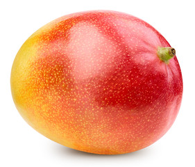 Mango isolated on white