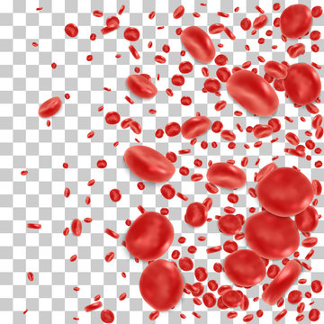 Red Blood Cell Flowing In Vein Or Artery. Vector Illustration On Transparent Background. Healthcare And Medical Zoom Concept.