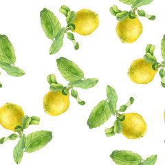 seamless pattern with lemons drawing in watercolor