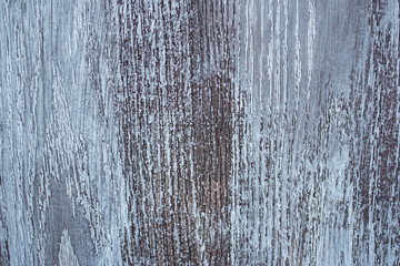 wood abstract grunge gray background