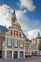Fototapeta na wymiar Haarlem City Hall, Netherlans