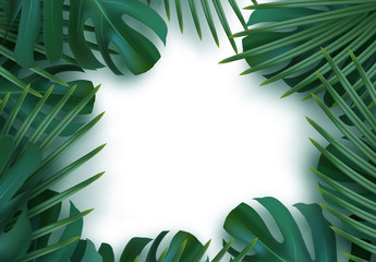 Branch palm realistic. Leaves and branches of palm trees. Tropical leaf background. Green foliage, tropic leaves pattern. frame white around blank space for text, flat lay, view from above. vector © lauritta