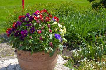 Garden in Wawel castle yard with beautiful flowers and castle in the background