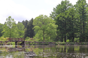 いもり池の風景