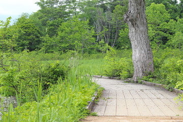 いもり池の風景