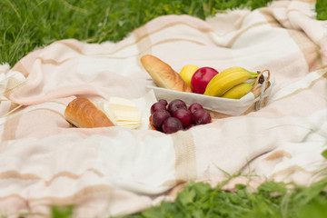 summer picnic, fruit basket,baguette and cheese,light snack on vacation