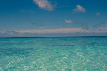 Fototapeta premium tropical beach and , Fiji islands 