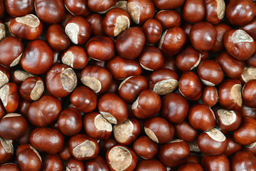 Detail of the chestnuts