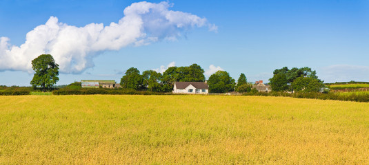 Typical Irish flat landscape with farms and fields of grass