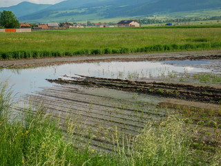 Flooded agricultural fields in Transylvania, Romania, due the unfavorable wheater conditions a big part of the harvest is compromised.