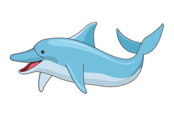 happy dolphin icon cartoon isolated