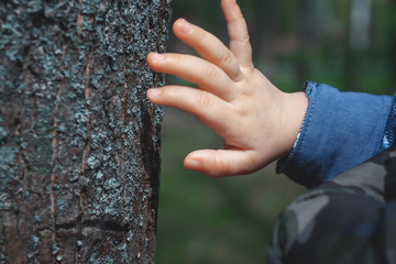 Child's hand and tree trunk.