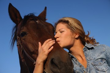 Fototapeta premium Horse kissing