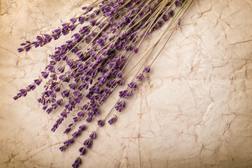 Lavender flowers on old paper background. mock up. Copy space