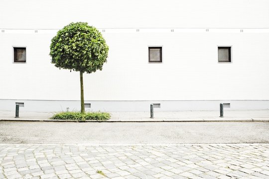 grass Hamburg architecture