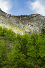Bohinj lake landscape