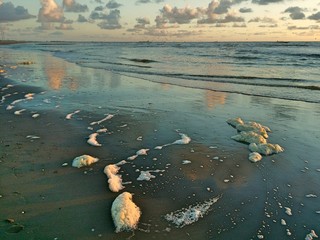 walrus foam, beach in the evening, water, sea, beach, ocean, sand,  sea, clouds in the sand