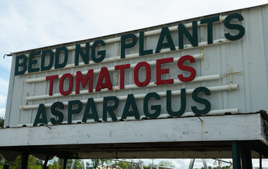 Bedding Plants Tomatoes Asparugus Sign