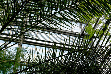 The framework of the botanical garden inside