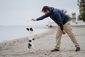 Side view of adult man with stick playing with obedient French Bulldog while spending time on sandy shore near sea
