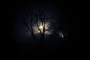 dark night with moon