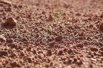 The soil in the garden. Close-up. Background. Texture.