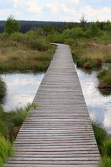 Sur le chemin des Hautes Fagnes en Wallonie