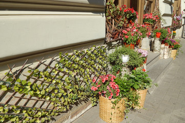 Fototapeta na wymiar Fragment of a small street with a porch and flower pots